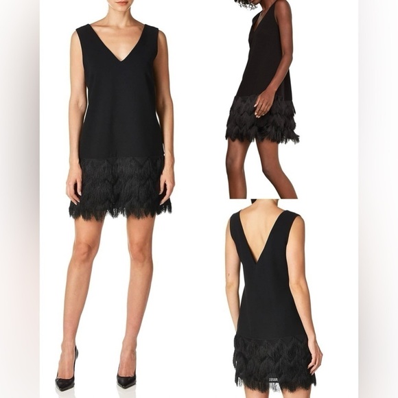 BCBGMAXAZRIA Addilyn Fringe-Trim Shift Dress Women’s Size 0 sleeveless LBD - Picture 1 of 16